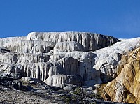 Yellowstone Mammoth Hotsprings Cleopatra terrace (4).JPG